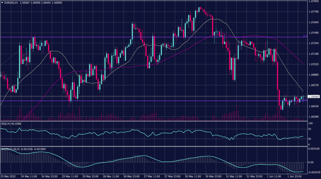 EURO chart on 2 June 2022