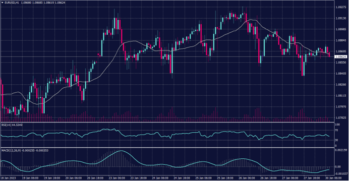 EURO Chart for 30 Jan 2023